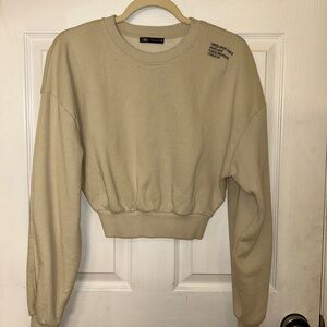 Zara Basics Cropped Crew Neck